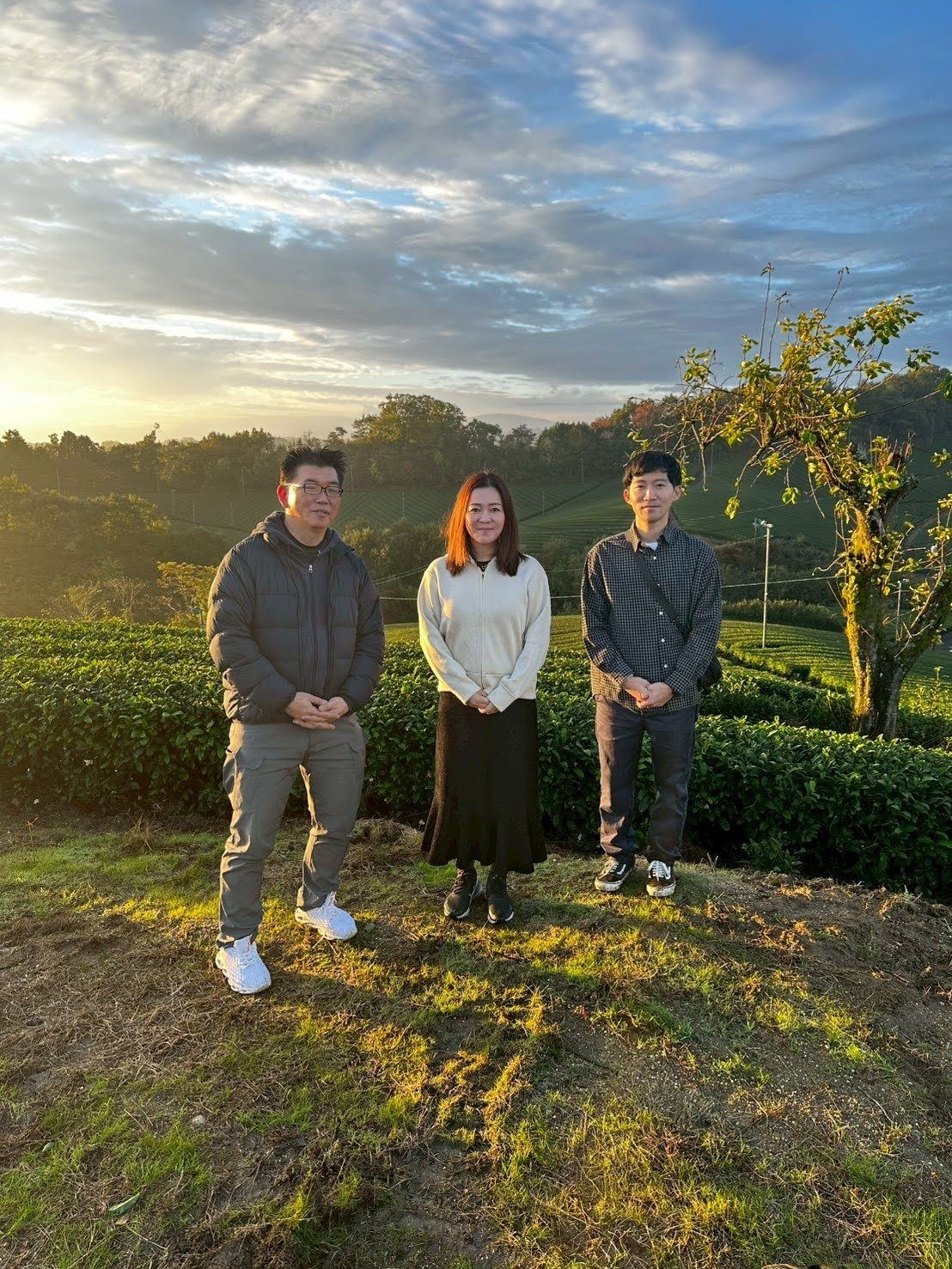 京都の茶畑で生産者と