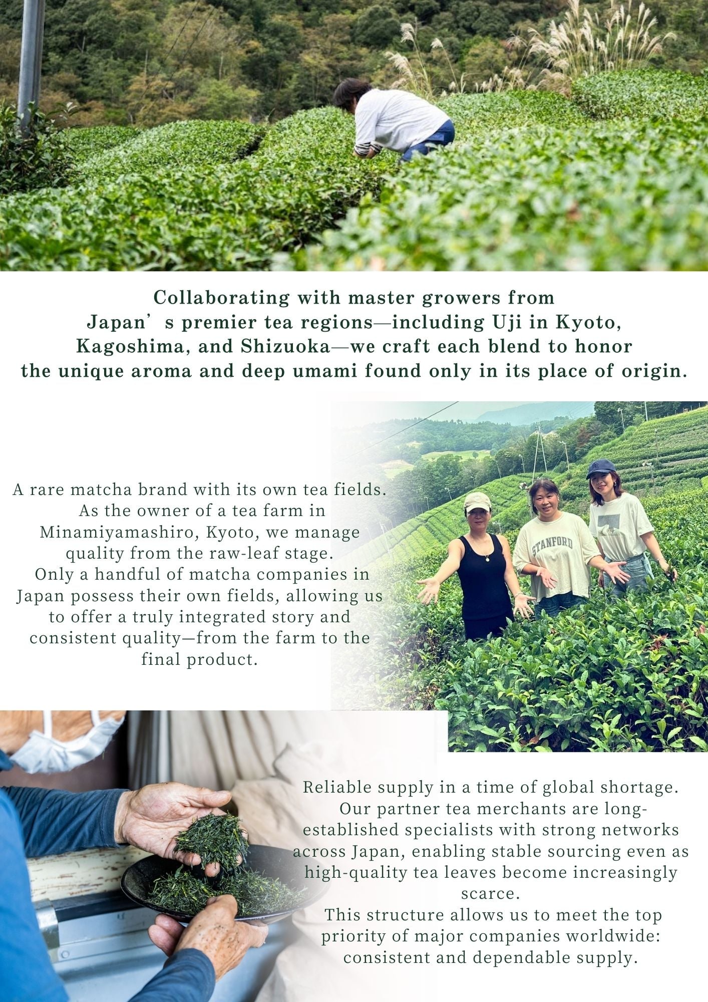 About 39 Matcha - Working directly with farmers in Japan's premier tea regions
